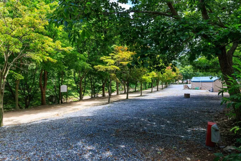 벌곡 산속 캠핑장 6
