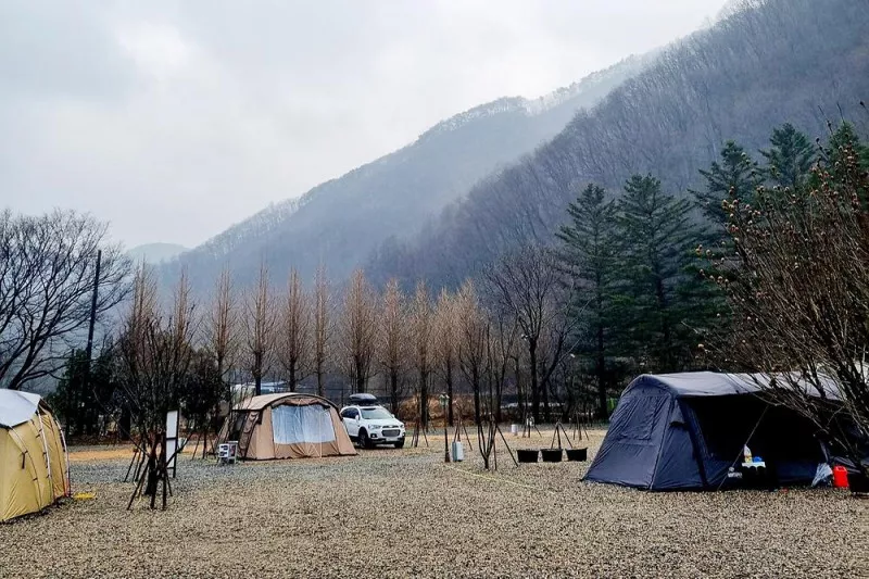 캠핑클라쓰 10