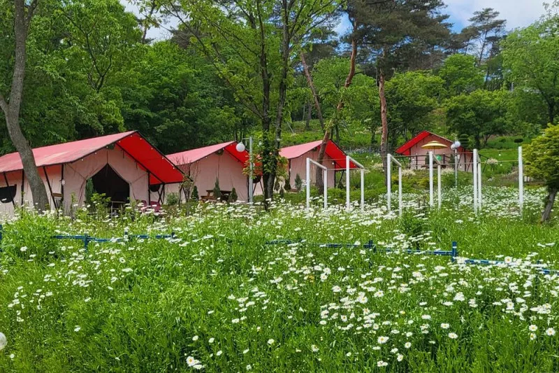 화순정원글램핑관광농원 6