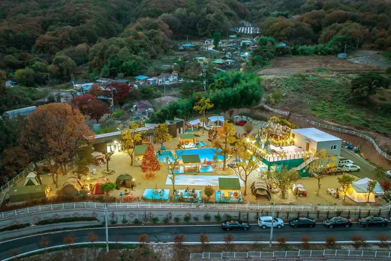 팜 스프링캠프 7