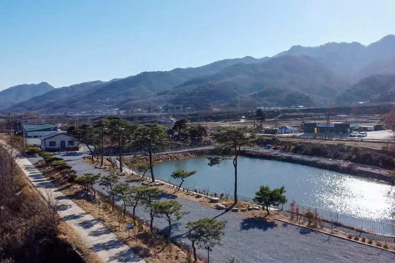 이른아침 캠핑장 8