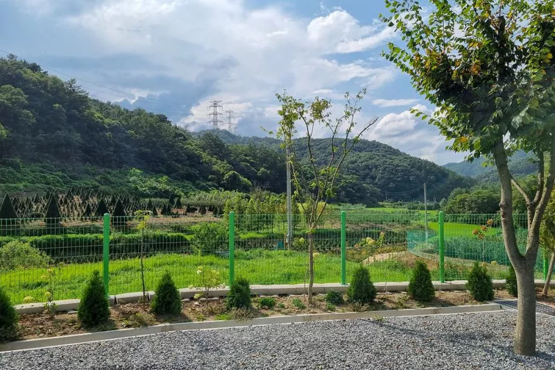 요새불멍 5