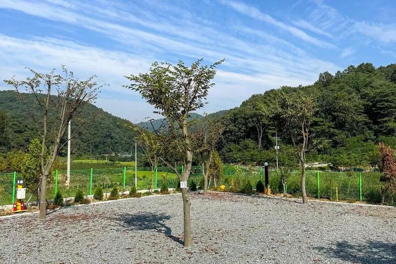 요새불멍 9