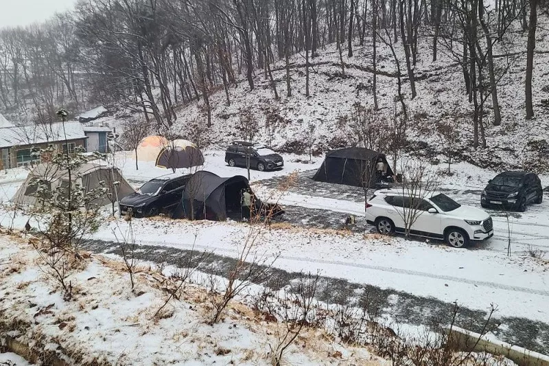 더 봄날 캠핑장 11