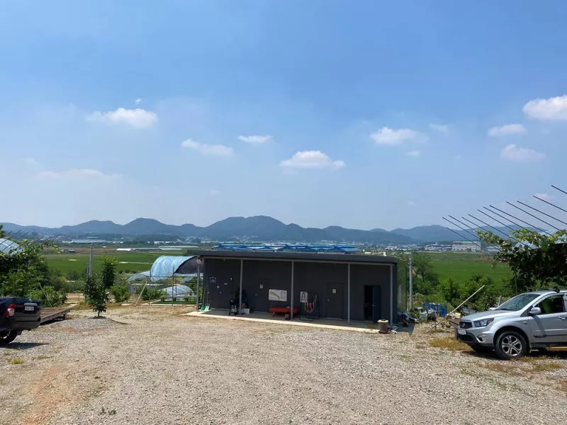 포도길 캠핑장 11