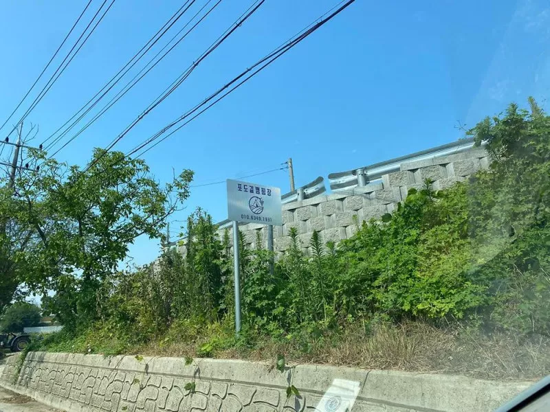 포도길 캠핑장 10
