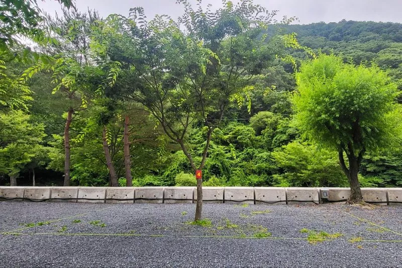 하옥 가람캠핑장 4