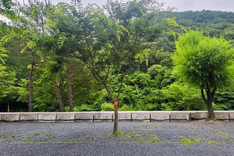 하옥 가람캠핑장 7