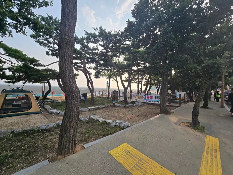동막리 마을회 3
