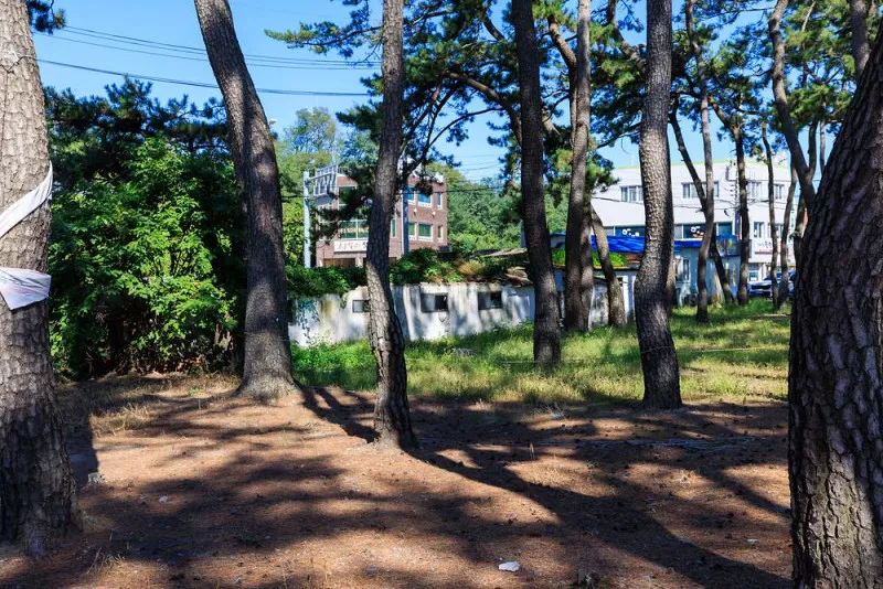 송림오토캠핑장 8