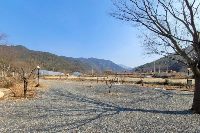 늘푸른캠핑장 6