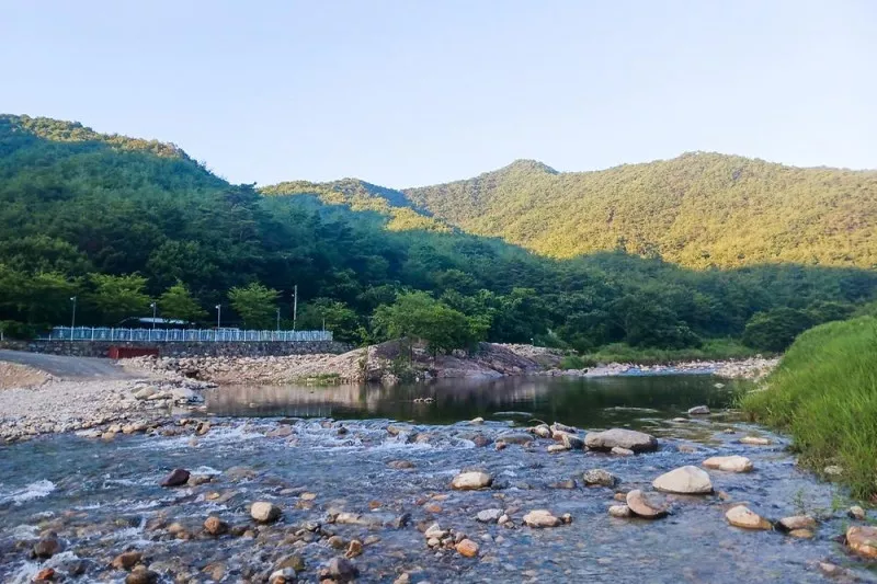 늘푸른캠핑장 4