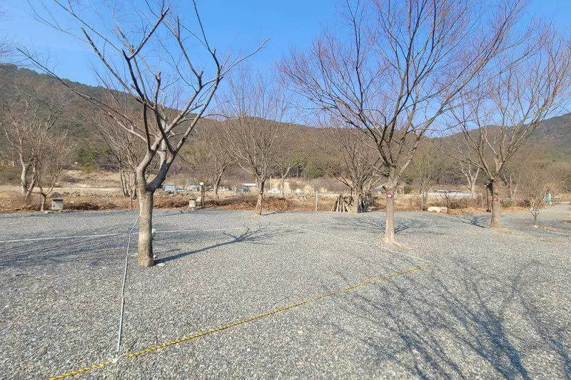 늘푸른캠핑장 8
