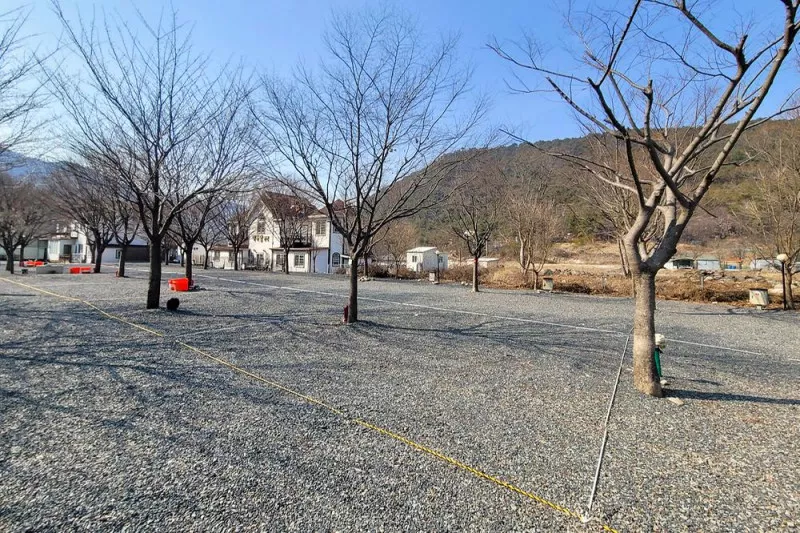 늘푸른캠핑장 7