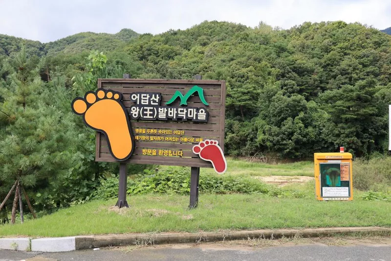 오클라 캠핑장 11