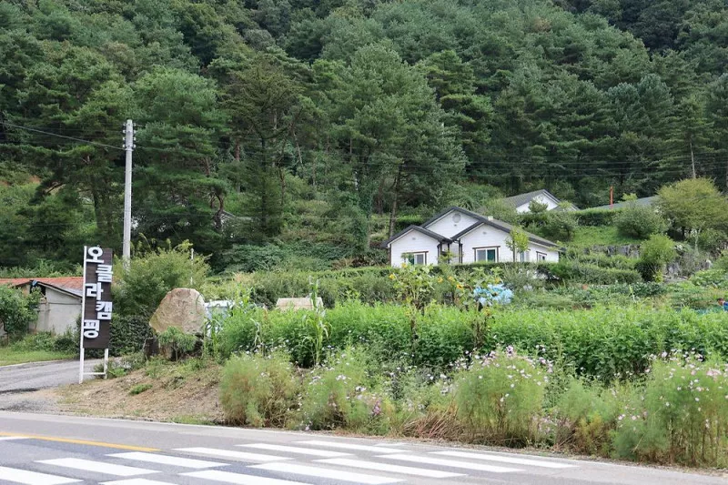 오클라 캠핑장 10