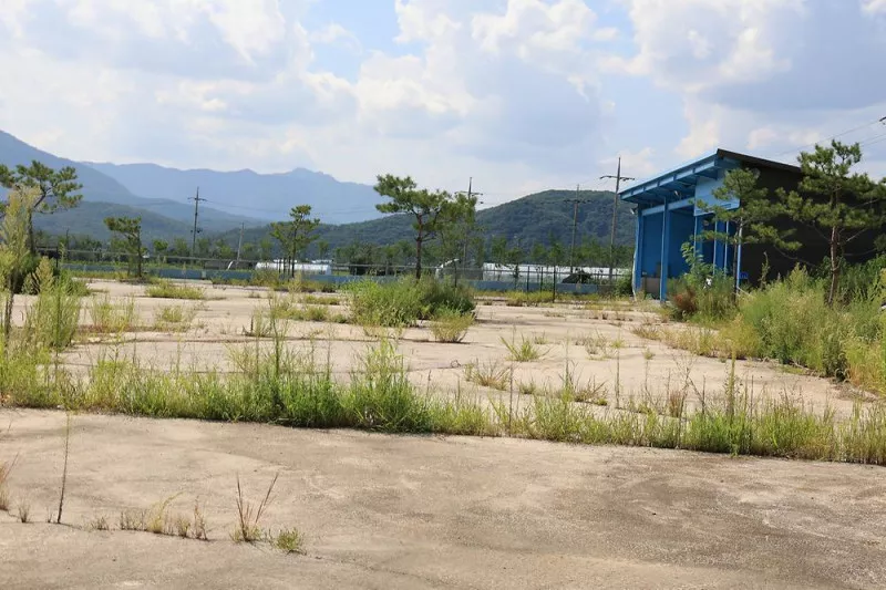 드르니캠핑장 6