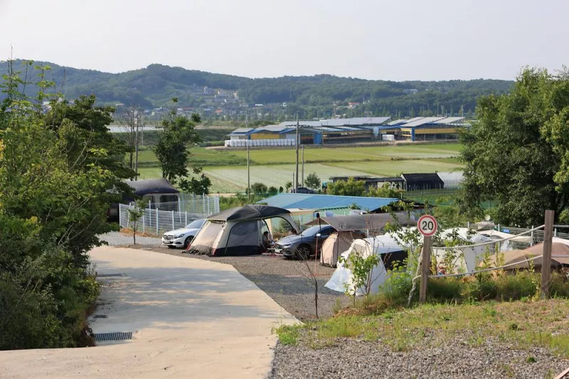 마니또 오토캠핑장 6