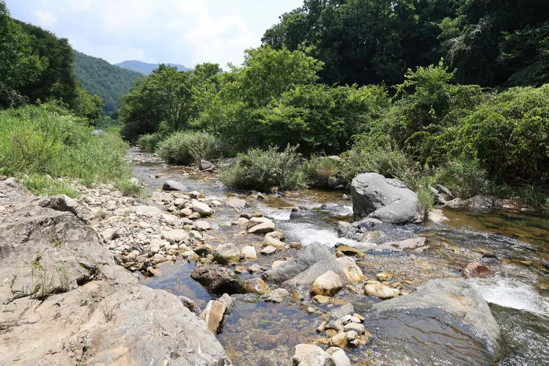 가자 GO캠핑 야영장 8