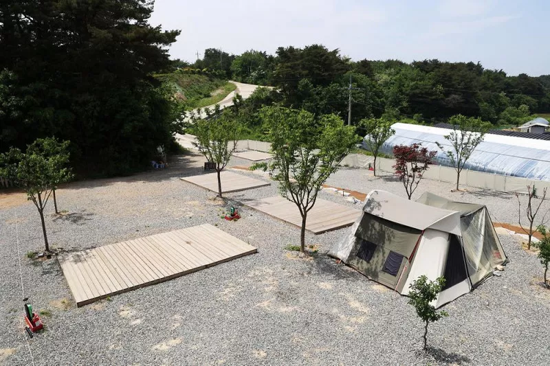 월든캠프 11
