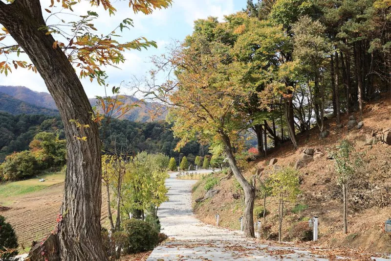 금동휴양림캠프3 10