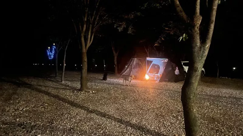좋은하루캠핑장 5
