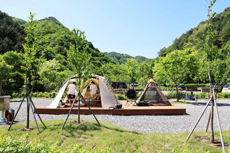갯골자연휴양림 야영장 10