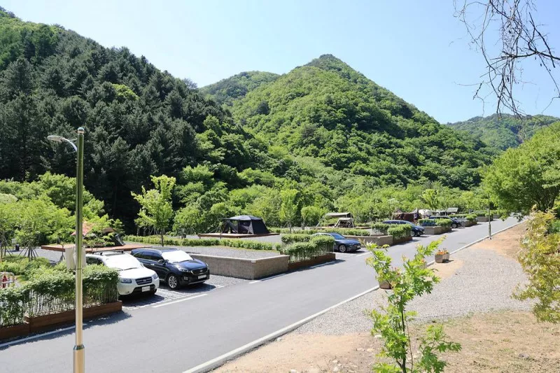 갯골자연휴양림 야영장 7