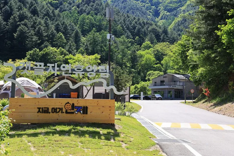 갯골자연휴양림 야영장 3