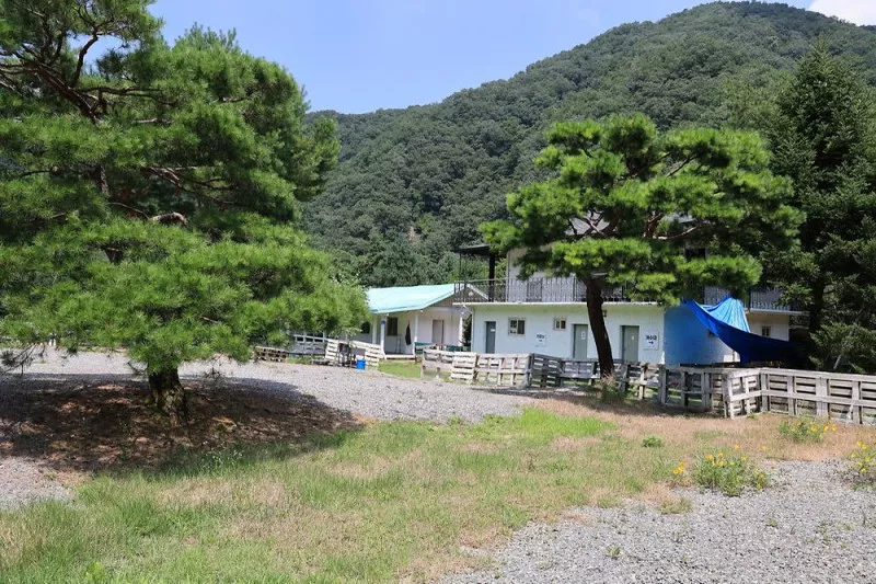 ㈜어메이징캠프 6