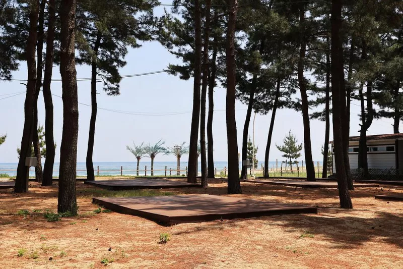 북분솔밭캠핑장 5