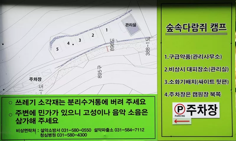 숲속다람쥐 캠프 2