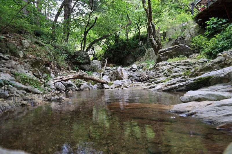숲속다람쥐 캠프 7