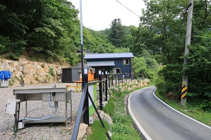 숲속다람쥐 캠프