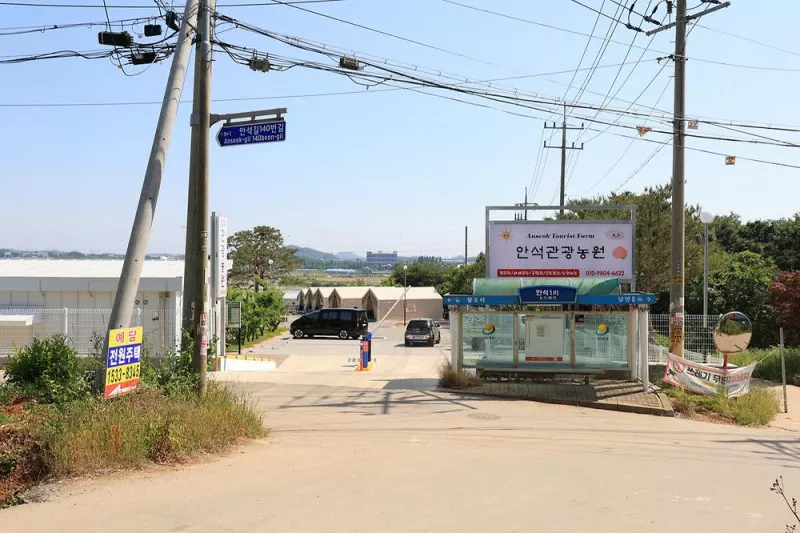 안석관광농원 3