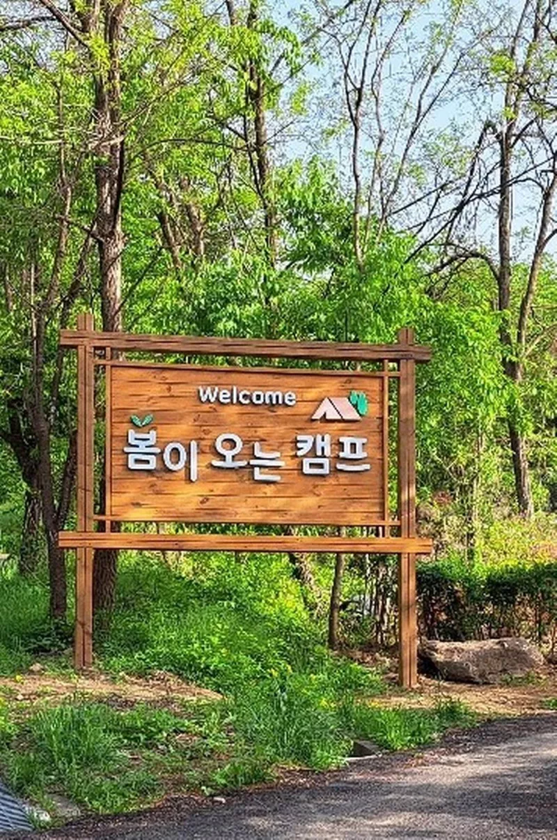 봄이오는 캠프 3
