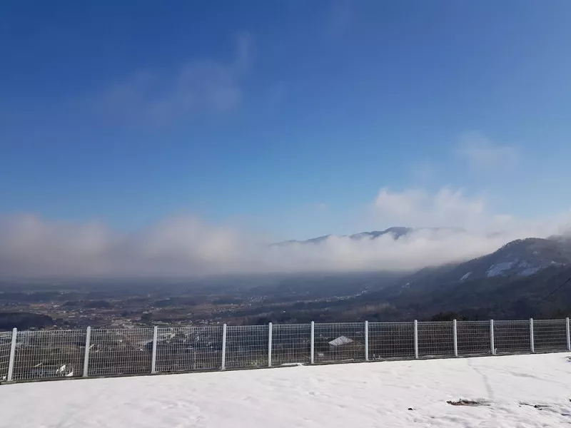 춘천 금병산 캠핑장 9