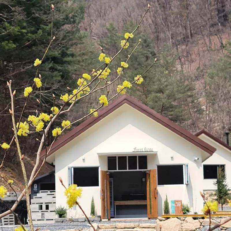 포레 앙비떼 4