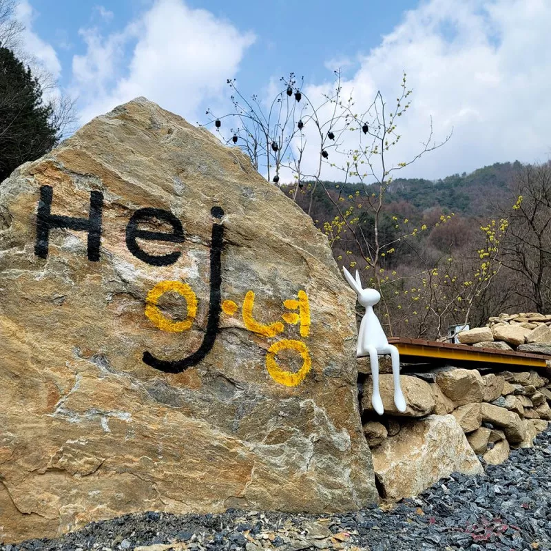 포레 앙비떼 6