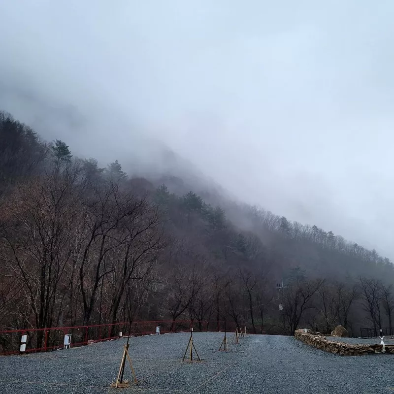 포레 앙비떼 10