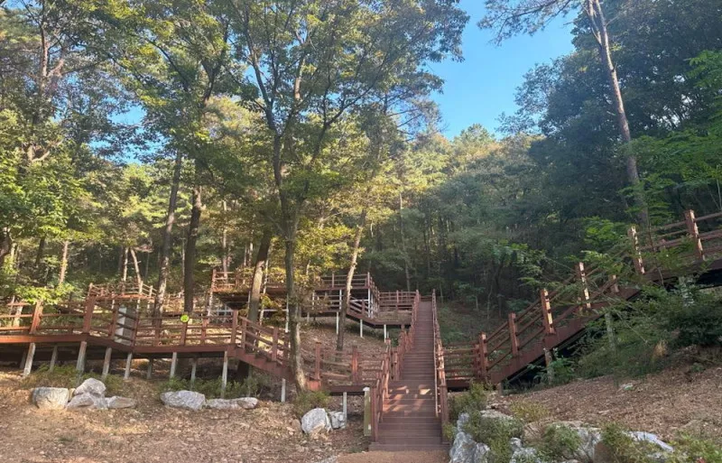무봉산 자연휴양림 3