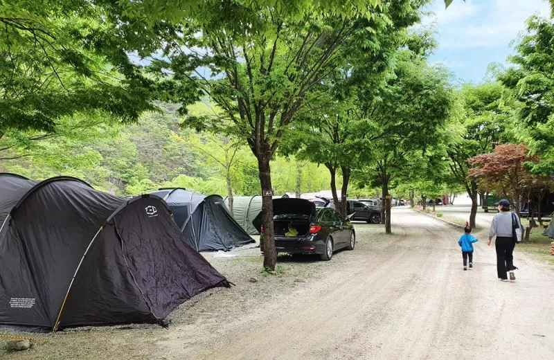 미산가족오토캠핑장 4