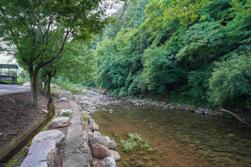 소백산 별빛감성 캠핑장 10