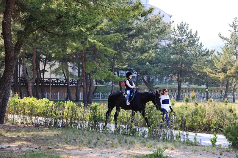 옥계해수욕장 야영장 7