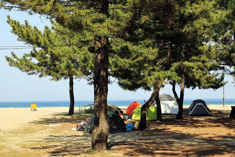 옥계해수욕장 야영장 10