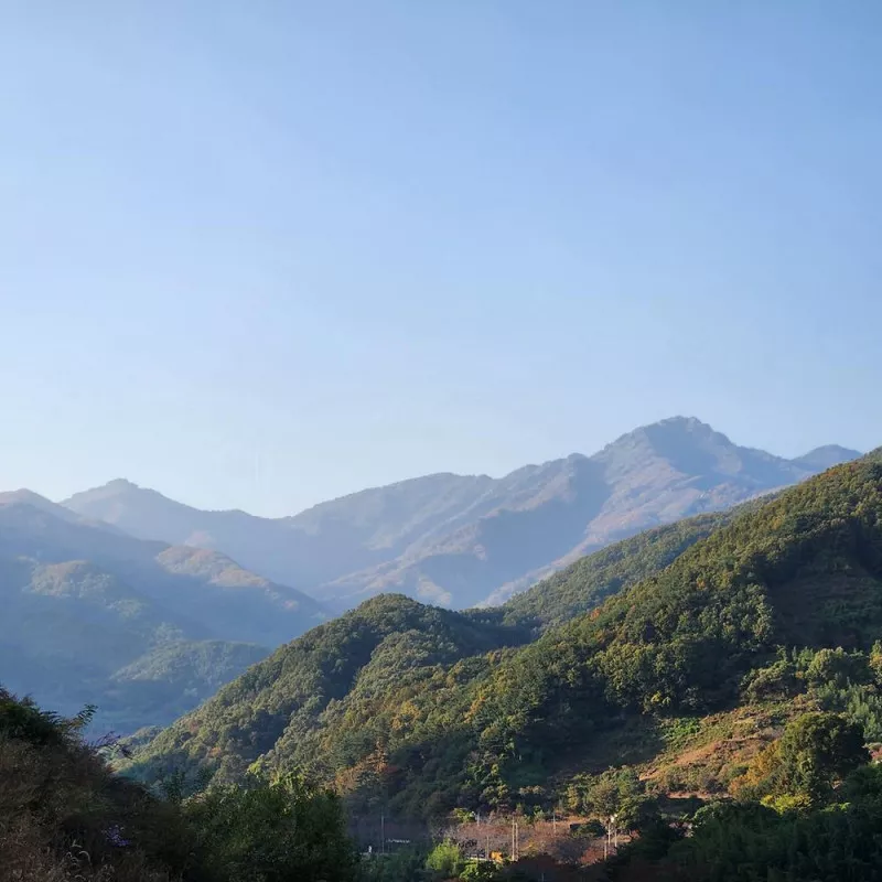 산청 지리산반달캠핑장 11