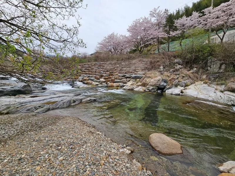 산청 지리산반달캠핑장 10