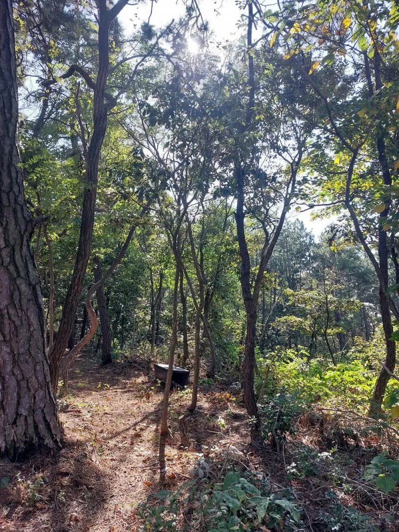 곡식정원(관광농원) 10