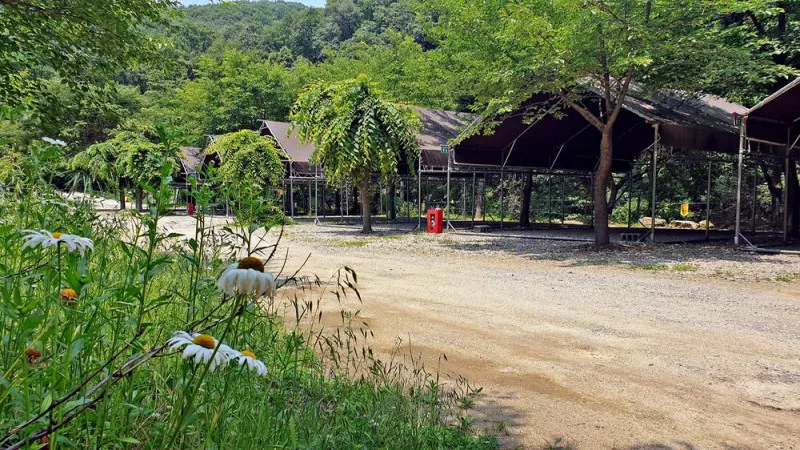 싱글벙글캠핑장 9