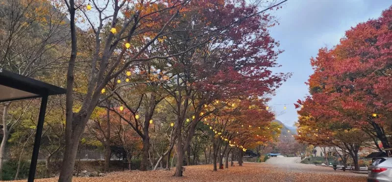 이안힐링랜드 3